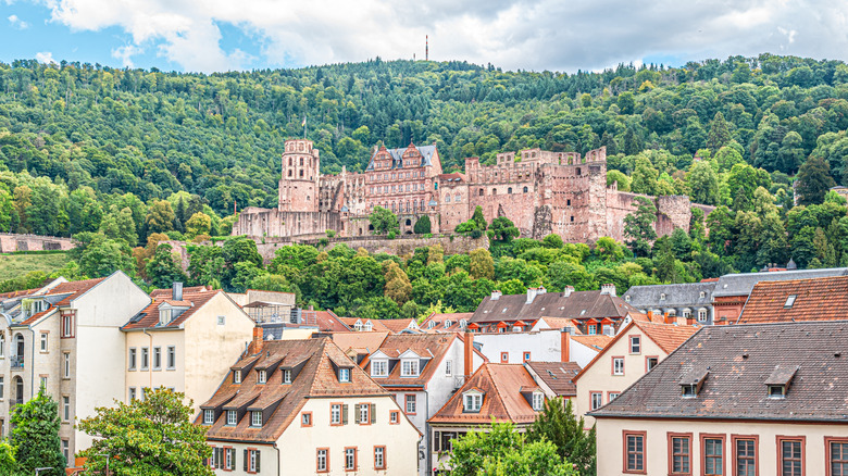 Heidelberg Castle from below