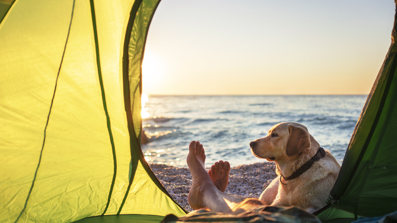 Tent at a beach