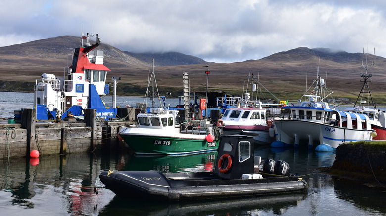 Boats in the harbour at the Isle of Islay looking inland over cloud-covered moorland