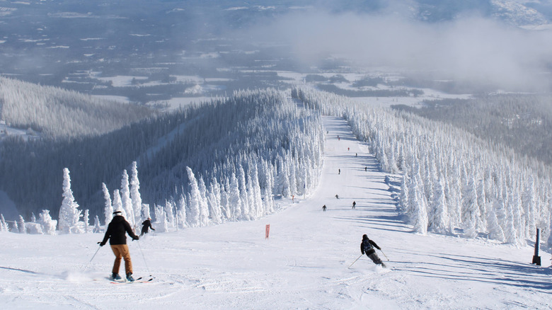 a ski slope at Schweitzer Mountain Resort in Sandpoint, Idaho