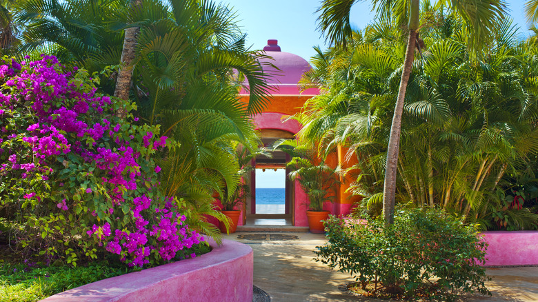 Pink and orange hotel room suite surrounded by jungle foliage