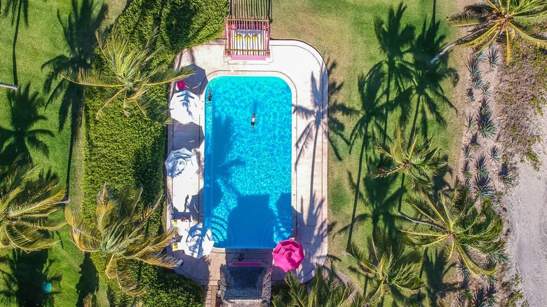 Aerial shot of a blue swimming pool surrounded by green lawn and palms