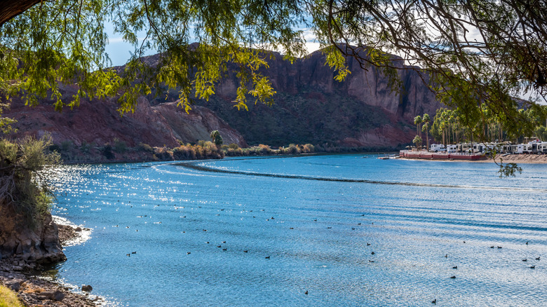 Sparkling waters at Buckskin Mountain State Park in Arizona