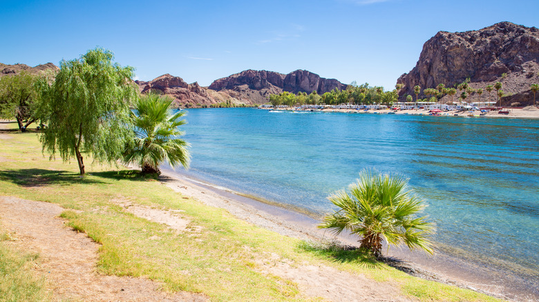 Lake with trees and cliffs at Buckskin Mountain State Park in Arizona