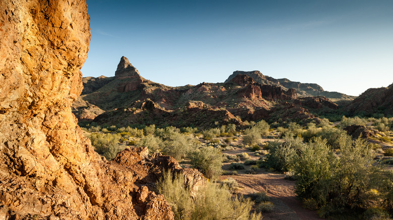 Mountain desert trail with plants at Buckskin Mountain State Park
