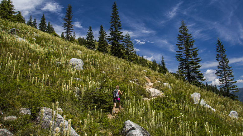 woman hiking through flowers on mountain