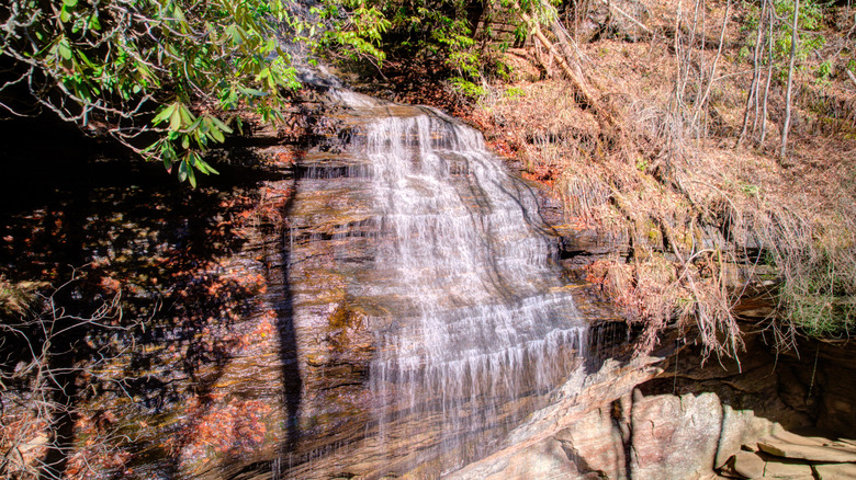 Moore Cove Falls on a sunny day
