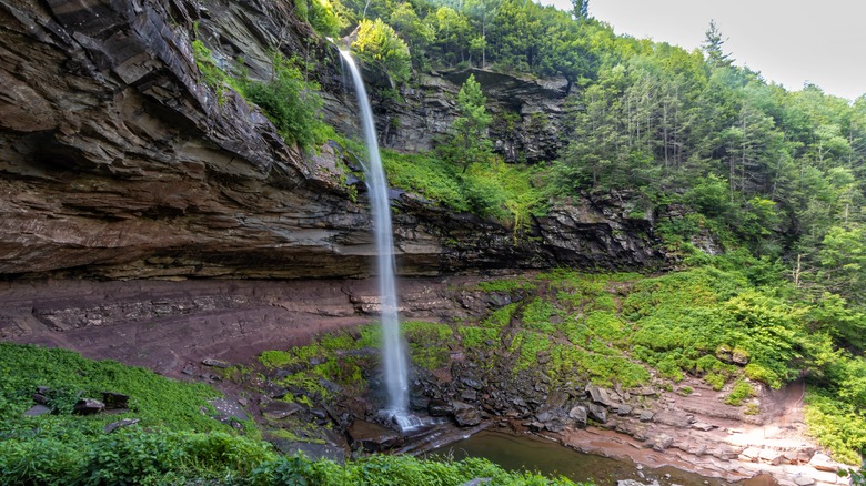 thin waterfall surrounded by vegetation and rocks