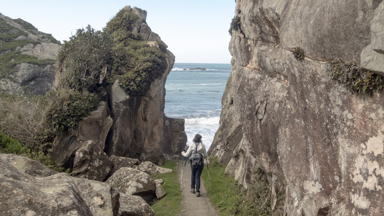Hiker in Harris Beach State Park