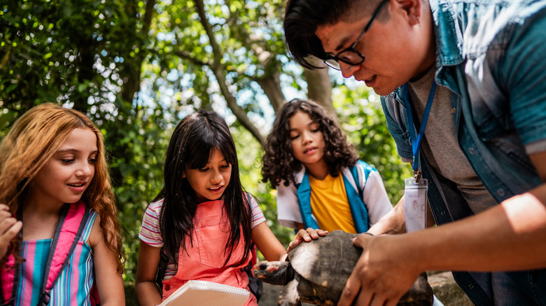 Camp instructor showing a turtle to camp kids