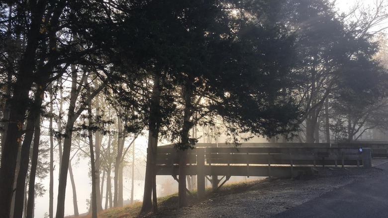 Wooden platform over lake in morning mist