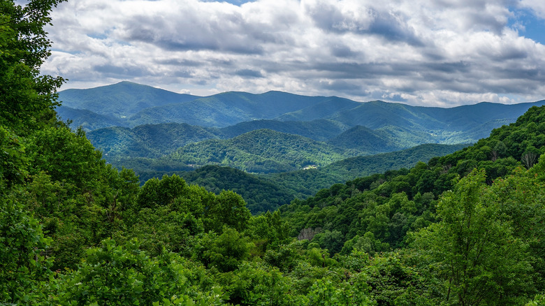 A cloudy sky over forested hills in Roan Mountain State Park, Tennessee