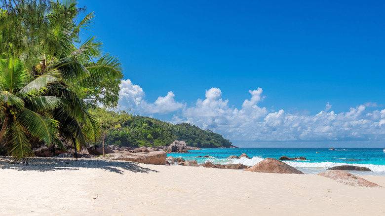 Sunny Anse Lazio beach with golden sand fringed by green palms and sparkling blue water on the tropical island of Praslin, Seychelles.