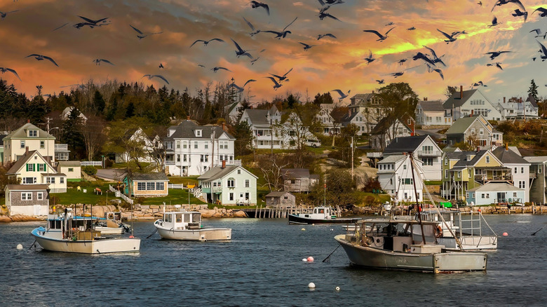 lobster boats anchored in the harbor in Stonington on Deer Isle in Maine