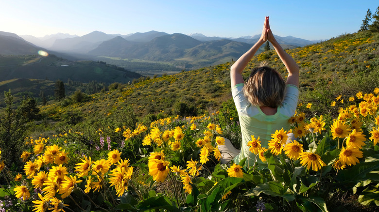 A woman sits in a field of Arnic flowers above the Methow Valley in Washington State
