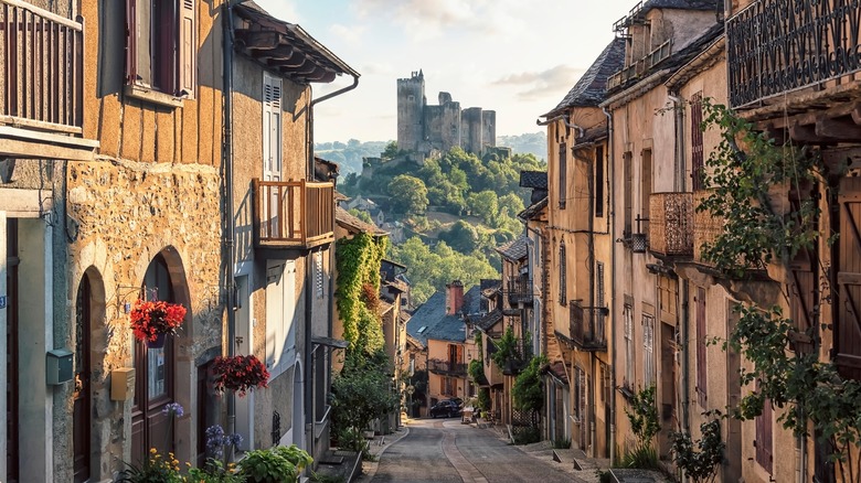 An idyllic French village with a castle in the background