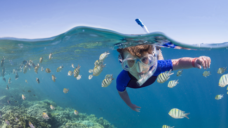 Child snorkeling