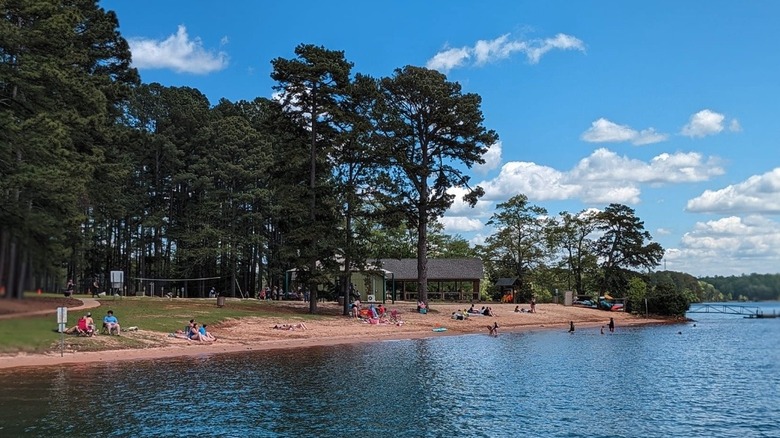 people on a lakeside beach
