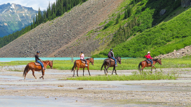 Guided horse tour through Banff