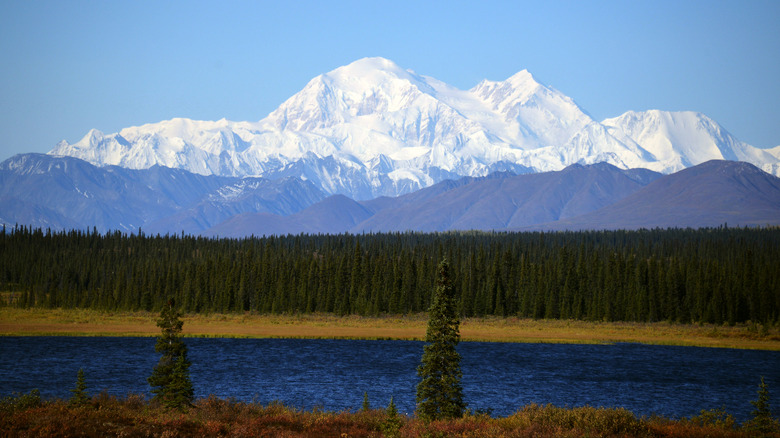 Denali Alaska