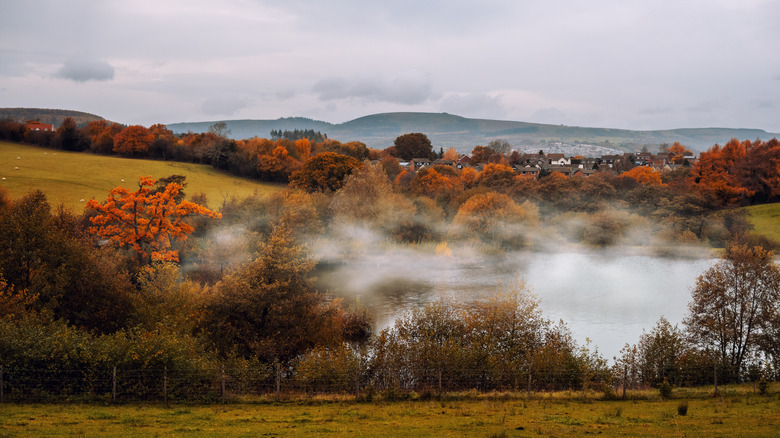 Autumn in Wales