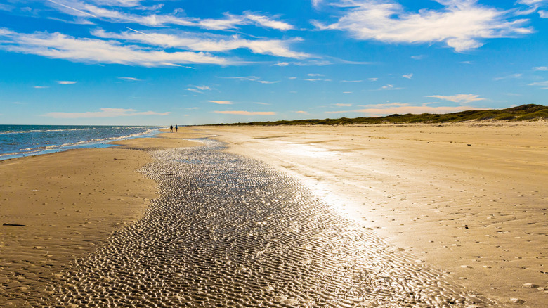 Tourists Exploring Malaquite Beach at Low Tide, South Padre Island National Seashore, Corpus Christi, Texas, USA