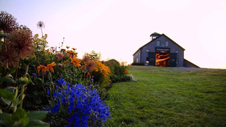 the barn at Turner Farm on North Haven in the Fox Islands in Penobscot Bay in Maine