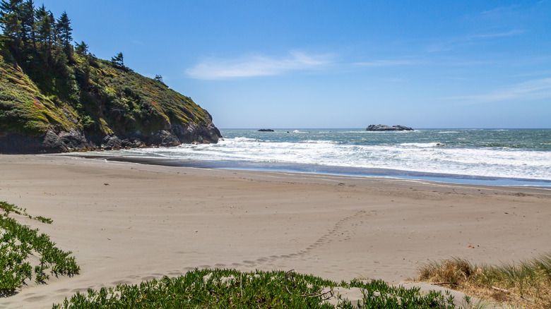 The California coast near Trinidad on a sunny day