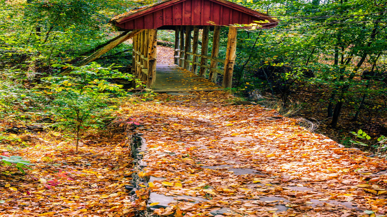 Covered foot bridge in Gillette Castle State Park