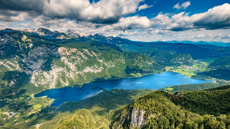 Aerial view of Lake Bohinj