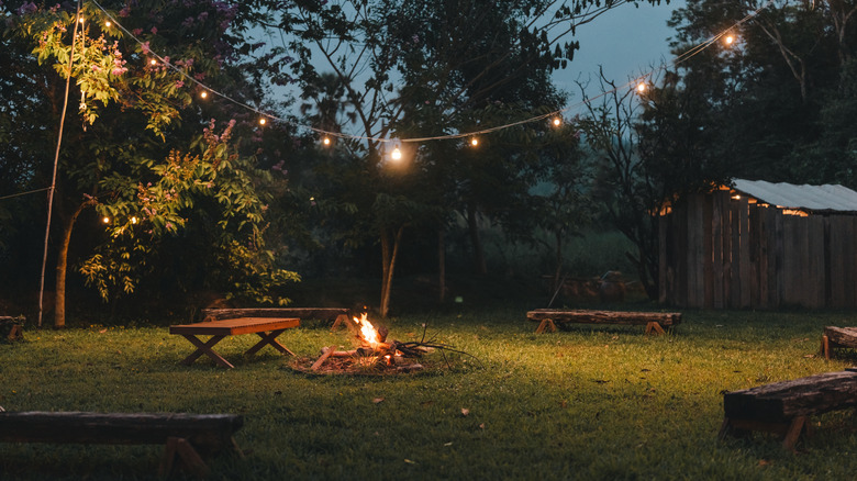 Two benches with a campfire surrounded by forest and twinkle lights