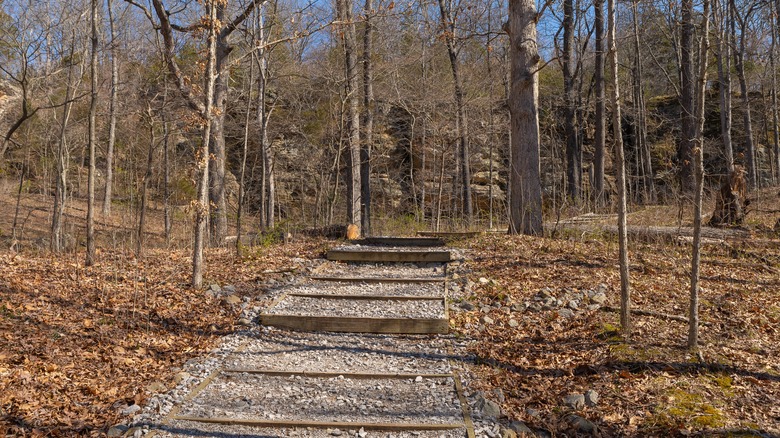 Hiking trail with gravel-lined steps in Giant City State Park on a sunny Spring morning