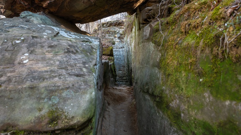 Nature trail through sandstone bluffs at Giant City State Park, Illinois