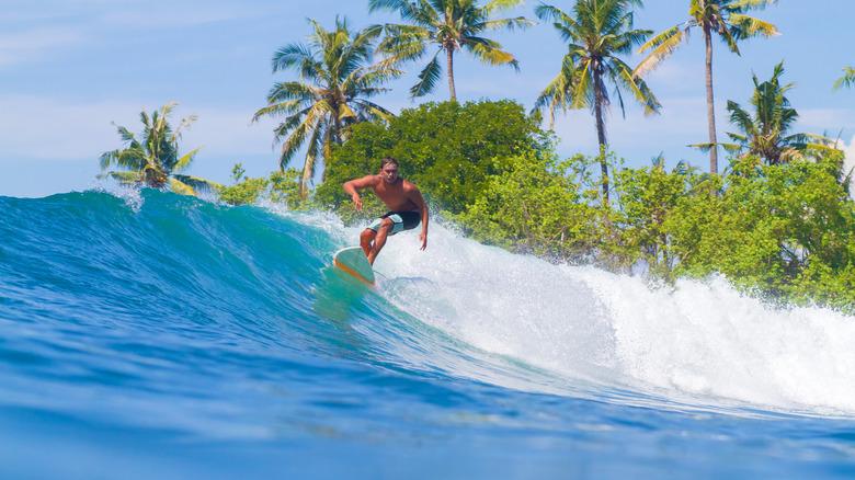 Man surfing in Sumba