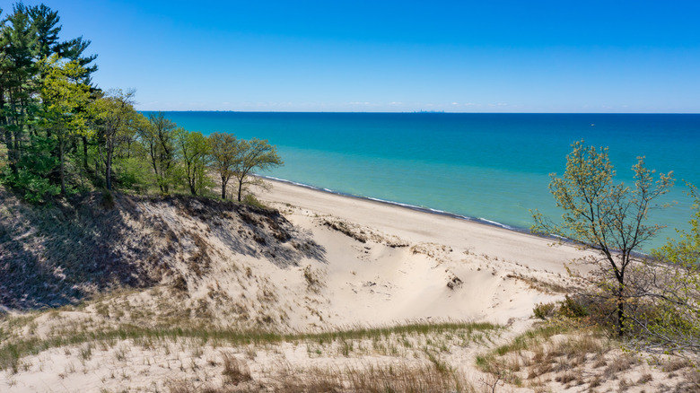 Sandy shore at Indiana Dunes National Park
