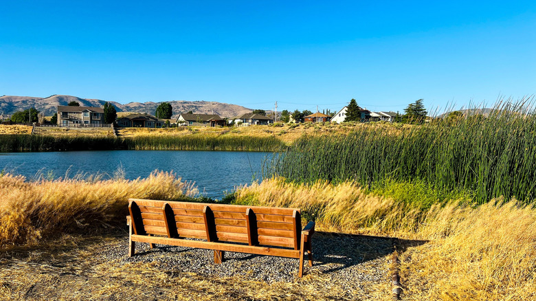 A wooden bench next to a lake in Tehachapi, California.
