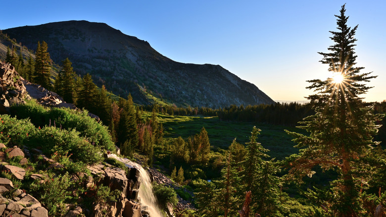 a waterfall and mountain in Humboldt-Toiyabe National Forest