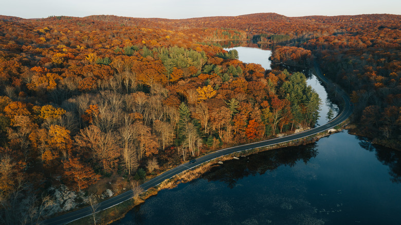 Aerial view of fall foliage in New York