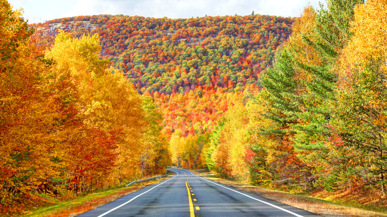 Road driving into New York mountains surrounded by fall foliage