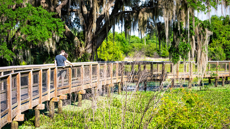 Paynes Prairie Preserve