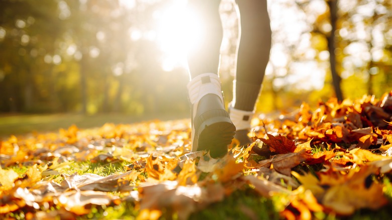 Closeup of legs and shoes hiking through fall foliage trail