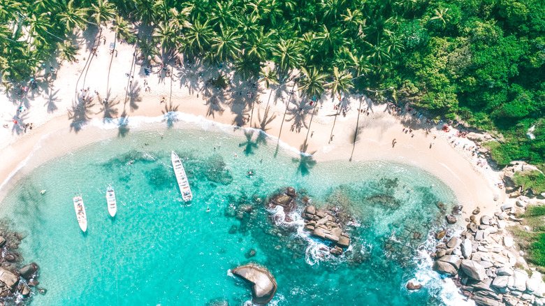 Aerial view of a beach