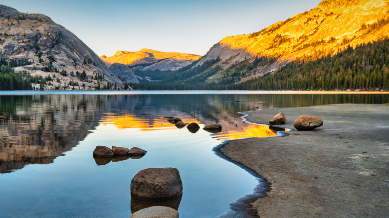 Tenaya Lake, surrounded by granite mountains and pine trees and bathed in golden sunlight