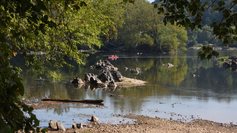 Kayakers on the Potomac River on a nice Day in Virginia