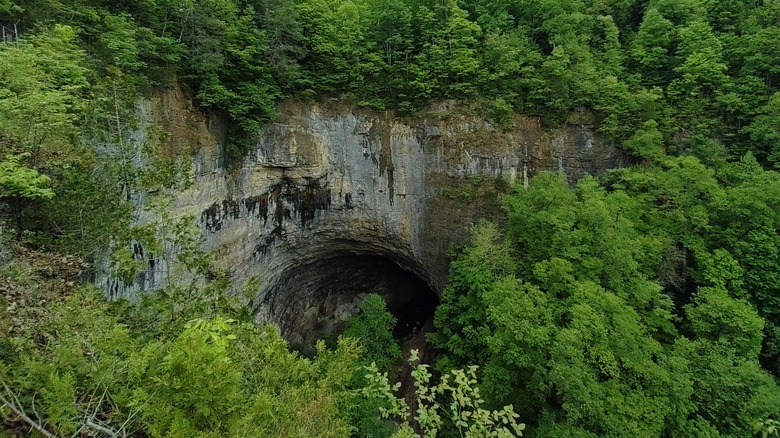 A scenic view of the Natural Tunnel State Park, featuring a tunnel in the side of the mountain surrounded by lush evergreens