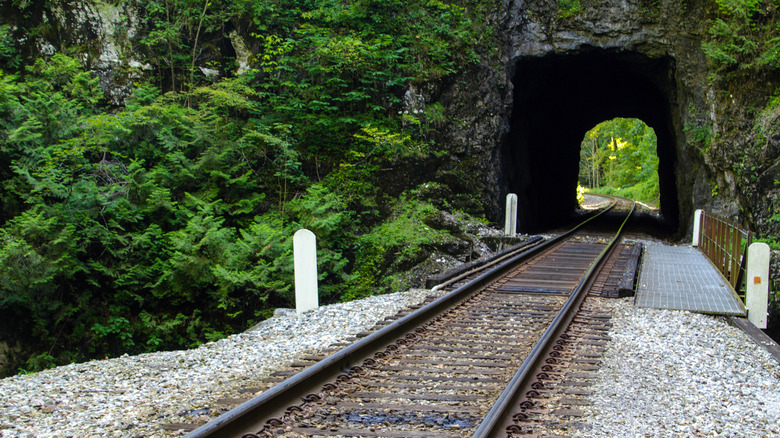 Greenery surrounds a railroad track in Natural Tunnel State Park