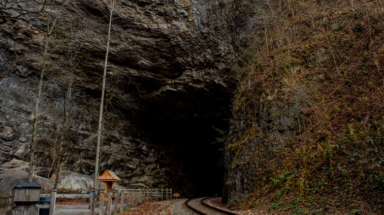 A dark tunneled path in Natural Tunnel State Park