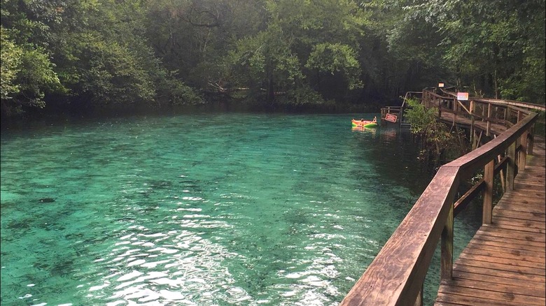 Blue Springs State Park 