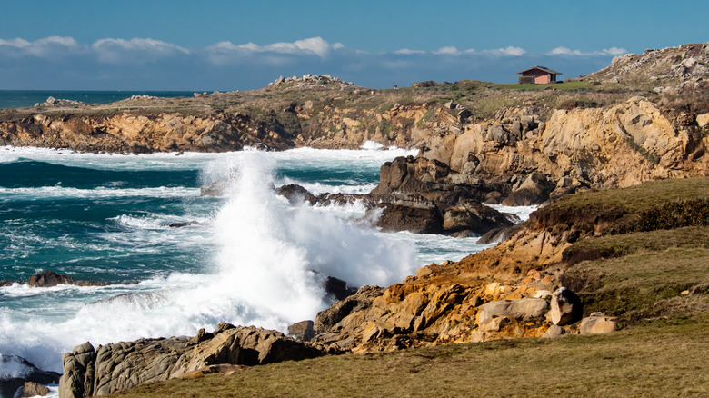 Salt Point State Park seascape 