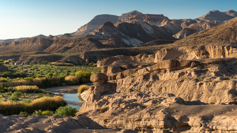 mountain range and hoodoos